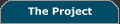 The Project