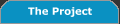 The Project